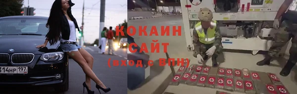 прущие грибы Россошь