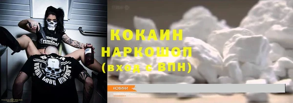 прущие грибы Россошь