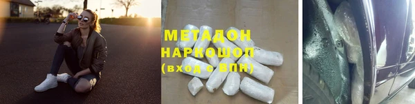 прущие грибы Россошь