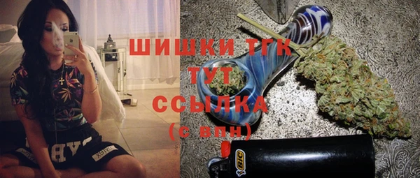 прущие грибы Россошь