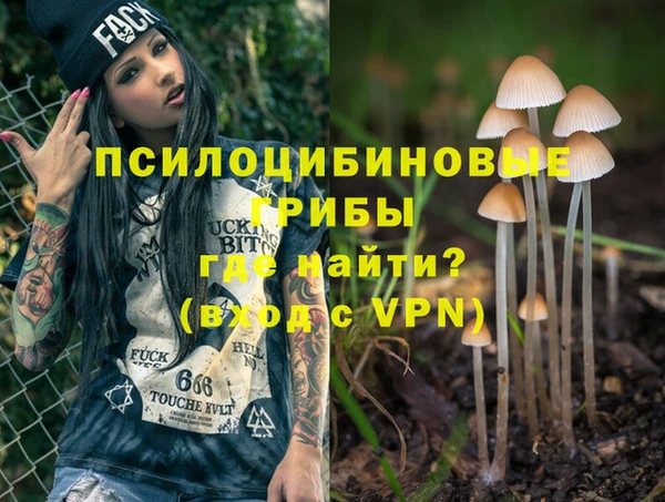 ALPHA PVP Ростов